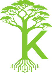 Kapok Solutions